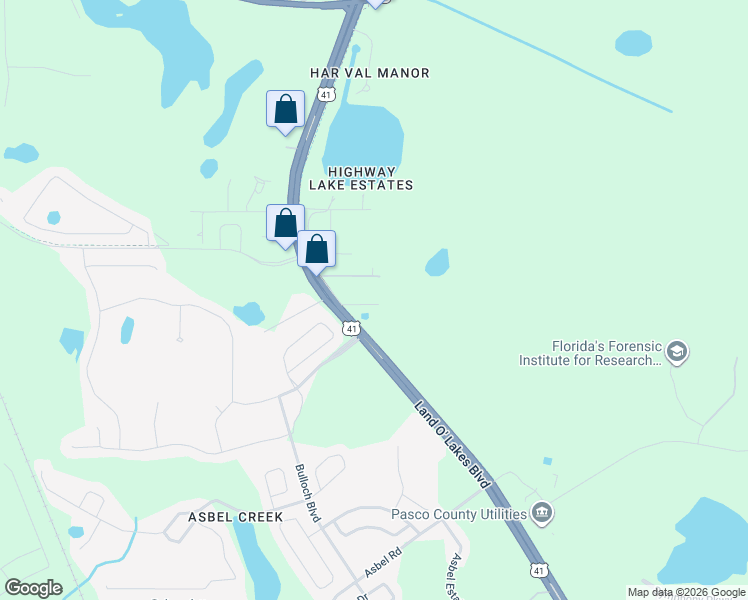 map of restaurants, bars, coffee shops, grocery stores, and more near 10420 Land O' Lakes Boulevard in Land O' Lakes