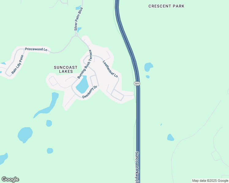 map of restaurants, bars, coffee shops, grocery stores, and more near 15822 Pond Rush Court in Pasco County