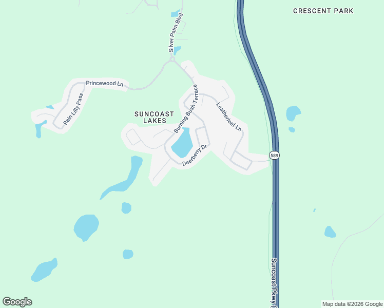 map of restaurants, bars, coffee shops, grocery stores, and more near 10549 Deerberry Drive in Pasco County