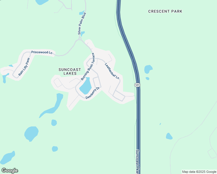 map of restaurants, bars, coffee shops, grocery stores, and more near 15718 Cedar Elm Terrace in Pasco County