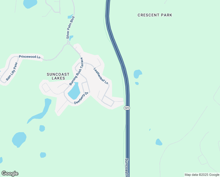map of restaurants, bars, coffee shops, grocery stores, and more near 15933 Leatherleaf Lane in Pasco County