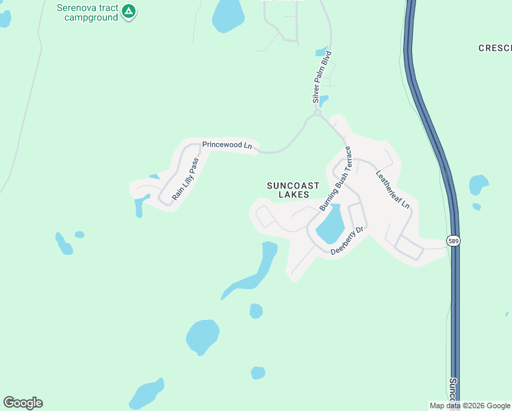 map of restaurants, bars, coffee shops, grocery stores, and more near 10711 Pearl Berry Loop in Pasco County