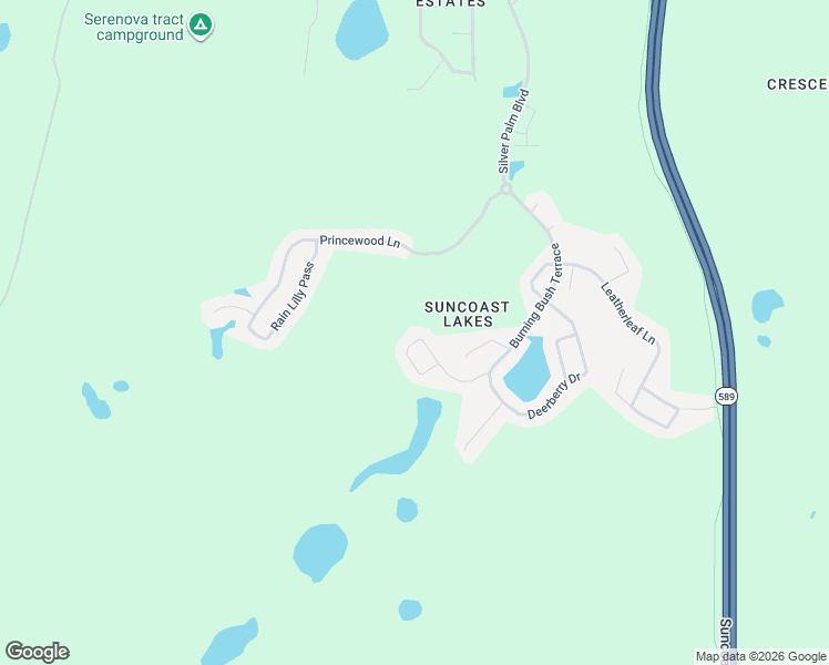 map of restaurants, bars, coffee shops, grocery stores, and more near 10723 Pearl Berry Loop in Pasco County