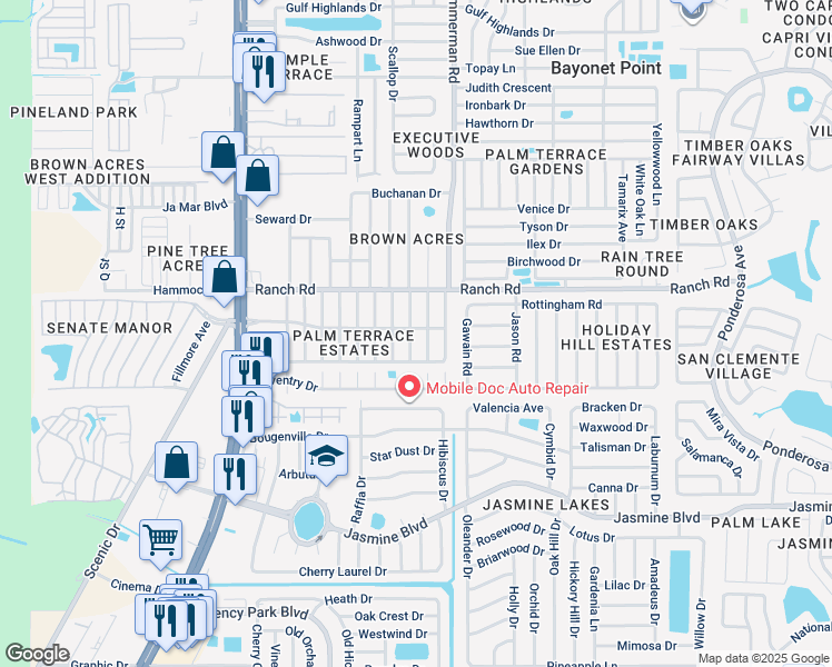 map of restaurants, bars, coffee shops, grocery stores, and more near 7402 Palisade Drive in Port Richey