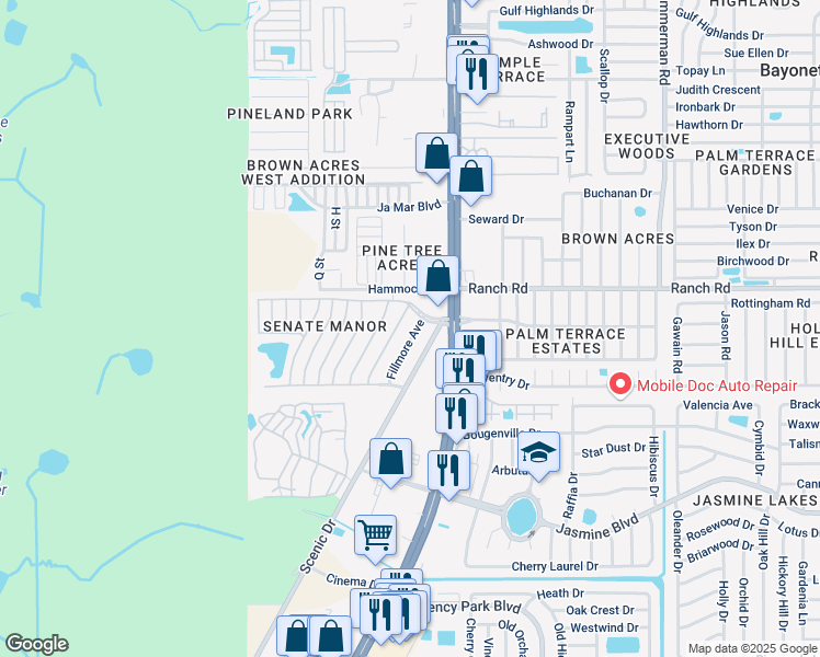 map of restaurants, bars, coffee shops, grocery stores, and more near 10905 Fillmore Ave in Port Richey