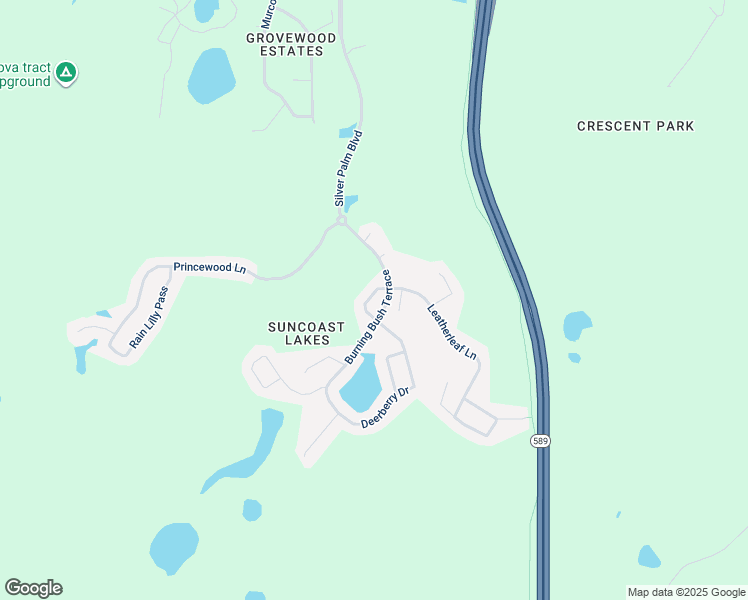 map of restaurants, bars, coffee shops, grocery stores, and more near 10852 Tree Cactus Loop in Pasco County