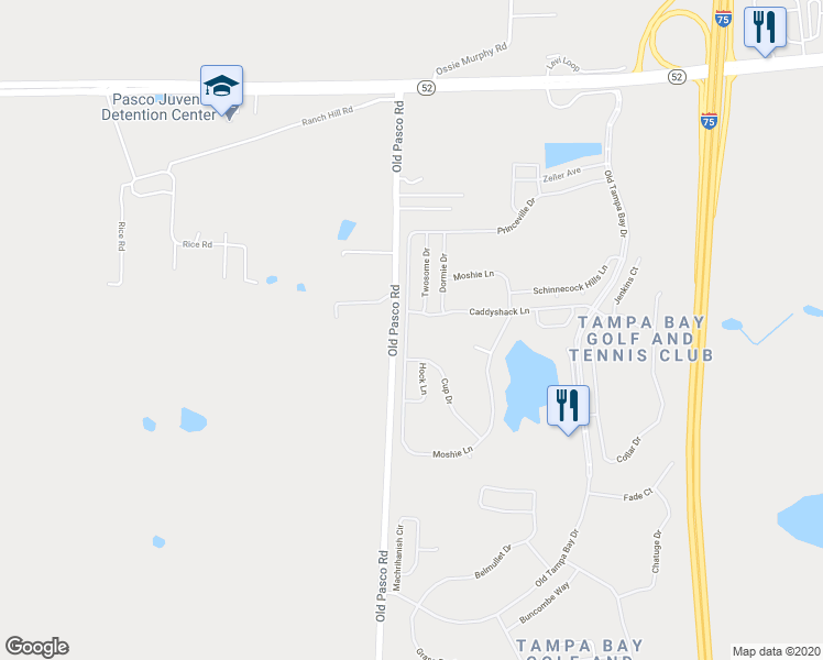 map of restaurants, bars, coffee shops, grocery stores, and more near 10251 Moshie Lane in San Antonio