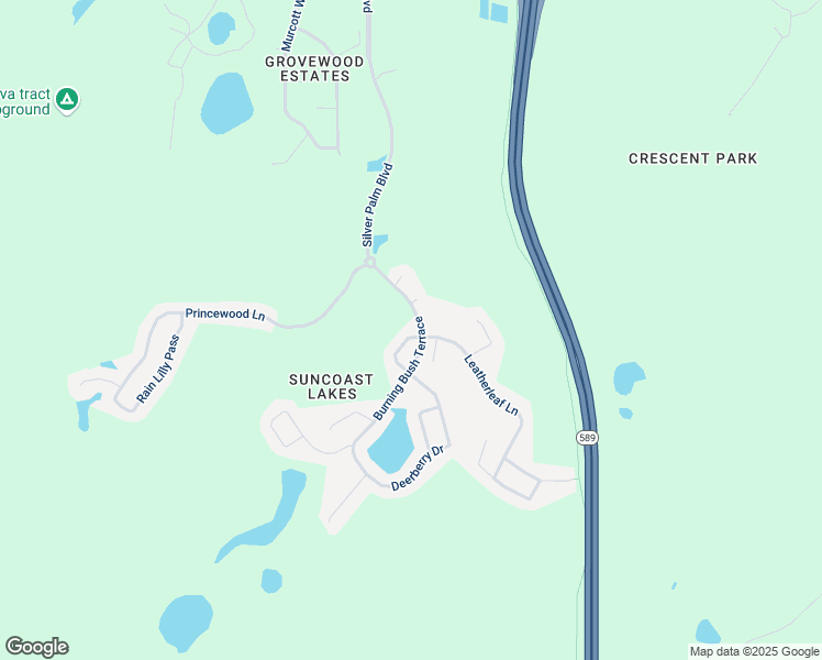 map of restaurants, bars, coffee shops, grocery stores, and more near 10917 Tree Cactus Loop in Pasco County