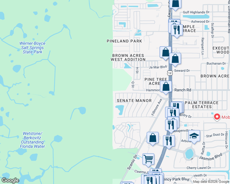 map of restaurants, bars, coffee shops, grocery stores, and more near 6507 Clemens Boulevard in Port Richey