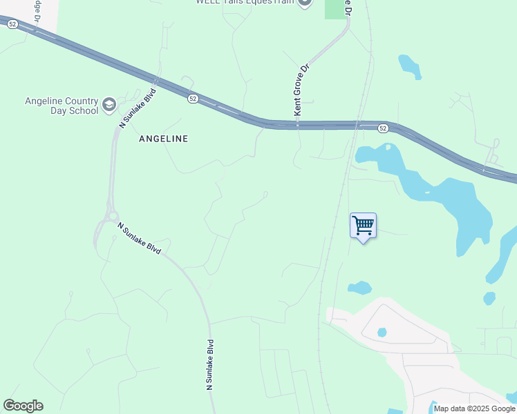 map of restaurants, bars, coffee shops, grocery stores, and more near 11300 Trail Blazer Lane in Land O' Lakes