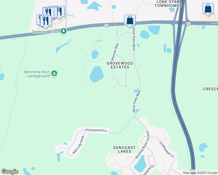 map of restaurants, bars, coffee shops, grocery stores, and more near 11341 Murcott Way in Land O' Lakes