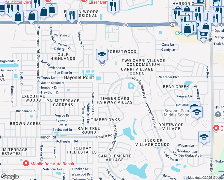 map of restaurants, bars, coffee shops, grocery stores, and more near 8131 Braddock Circle in Port Richey