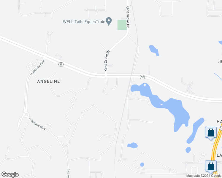 map of restaurants, bars, coffee shops, grocery stores, and more near 11300 Trail Blazer Lane in Land O' Lakes