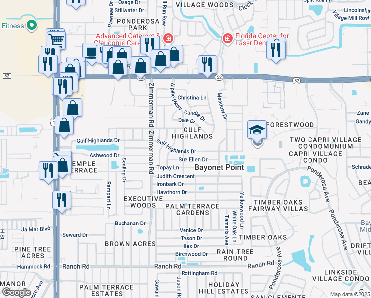 map of restaurants, bars, coffee shops, grocery stores, and more near 11602 Alpine Parkway in Port Richey