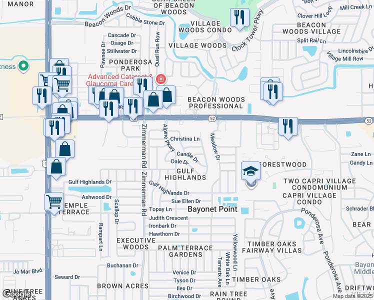 map of restaurants, bars, coffee shops, grocery stores, and more near 11808 Bingham Drive in Port Richey