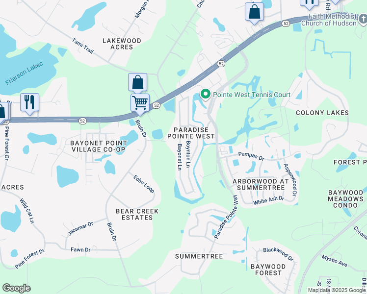 map of restaurants, bars, coffee shops, grocery stores, and more near 11817 Boynton Lane in New Port Richey