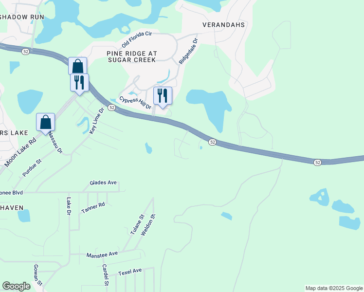 map of restaurants, bars, coffee shops, grocery stores, and more near 11843 Faithful Way in New Port Richey