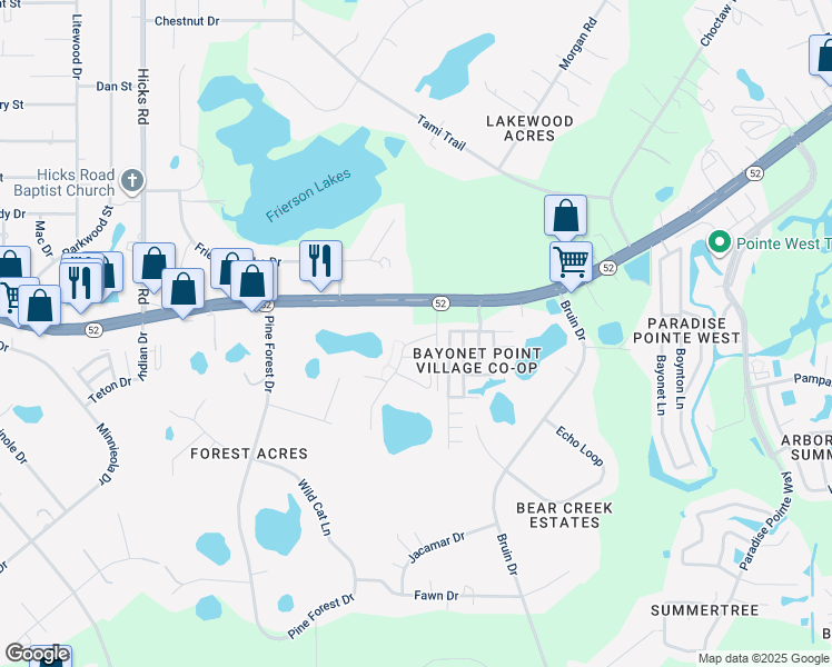 map of restaurants, bars, coffee shops, grocery stores, and more near 11910 Cassandra Street in New Port Richey