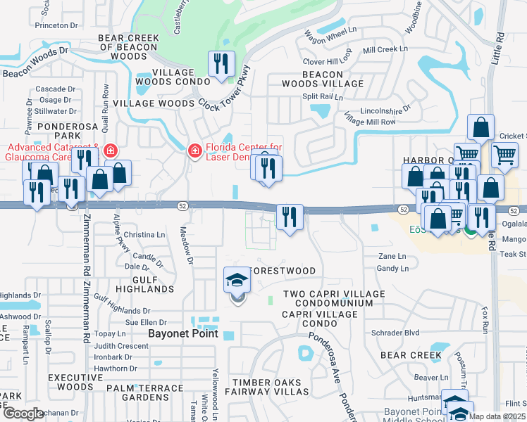 map of restaurants, bars, coffee shops, grocery stores, and more near Hudson Ridge Drive in Bayonet Point