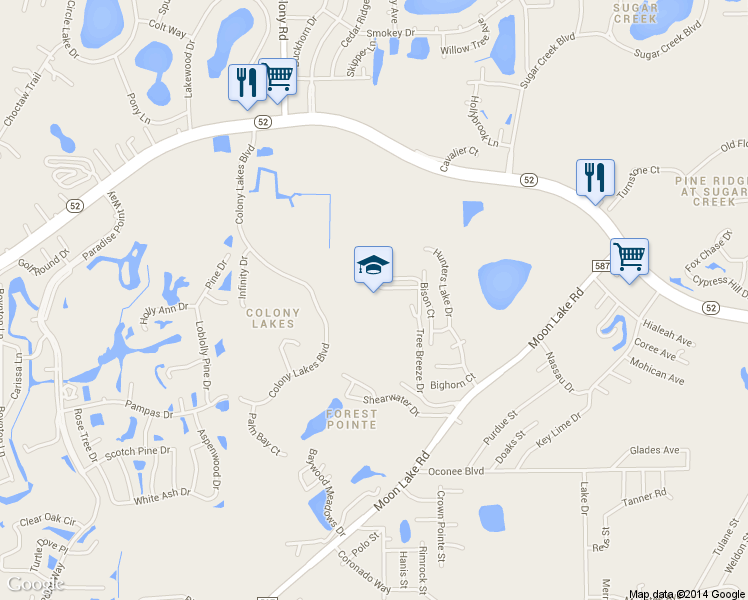 map of restaurants, bars, coffee shops, grocery stores, and more near 12019 Tree Breeze Drive in New Port Richey