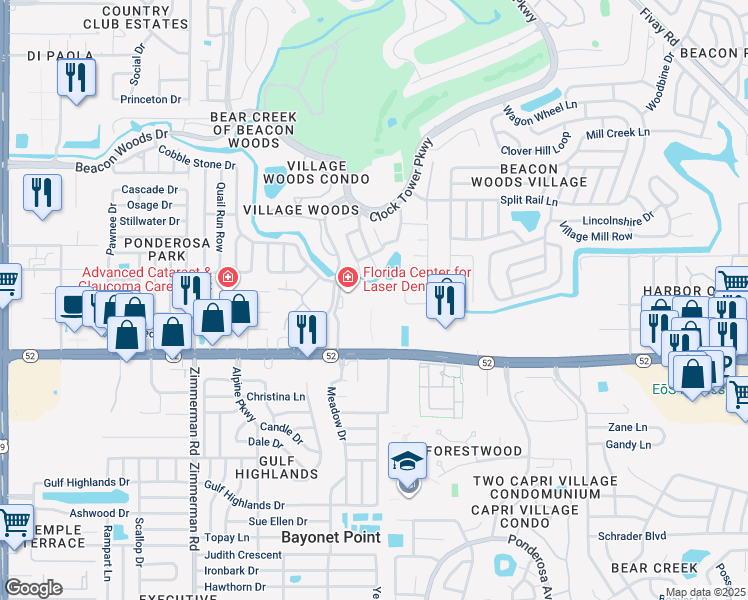 map of restaurants, bars, coffee shops, grocery stores, and more near State Road 52 in Pasco County