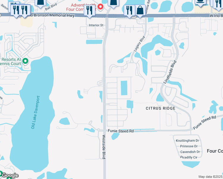 map of restaurants, bars, coffee shops, grocery stores, and more near 8979 Cat Palm Road in Kissimmee
