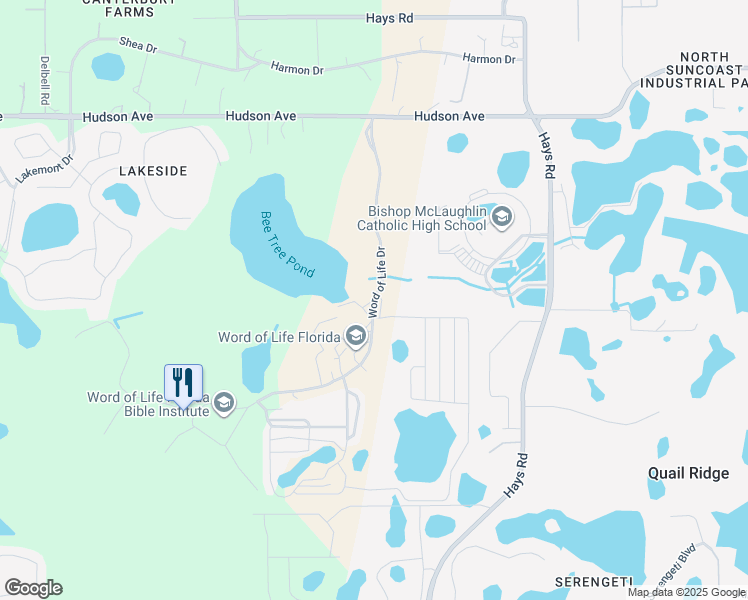 map of restaurants, bars, coffee shops, grocery stores, and more near Word of Life Drive in Pasco County