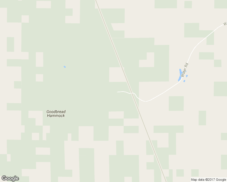 map of restaurants, bars, coffee shops, grocery stores, and more near 1307 Water Road in Groveland
