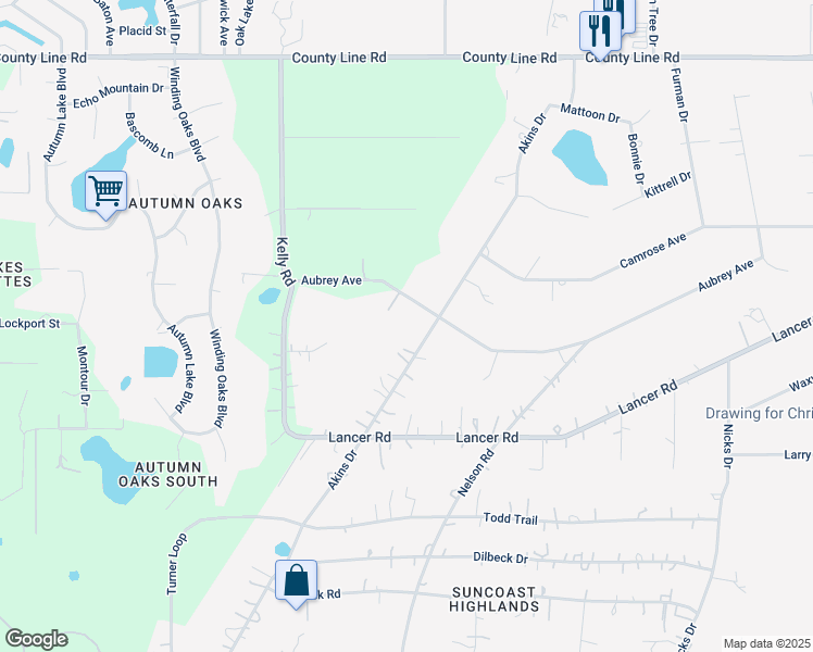 map of restaurants, bars, coffee shops, grocery stores, and more near 14650 Aubrey Avenue in Spring Hill