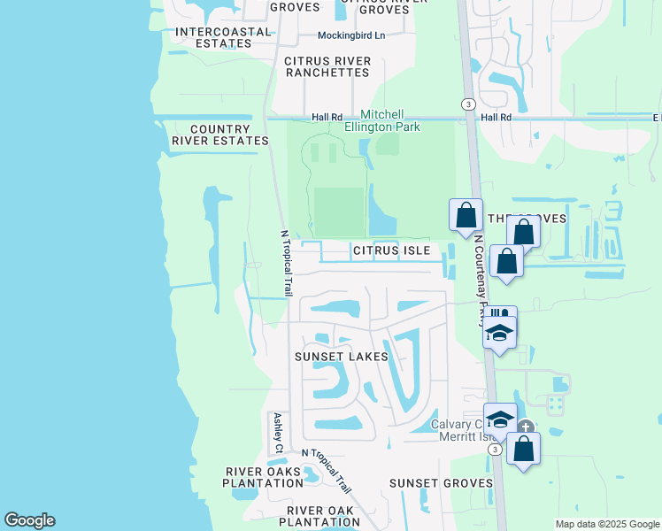 map of restaurants, bars, coffee shops, grocery stores, and more near 738 Mandalay Grove Court in Merritt Island