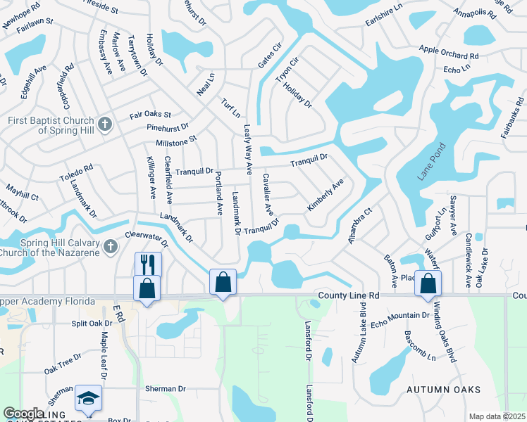 map of restaurants, bars, coffee shops, grocery stores, and more near 235 Cavalier Avenue in Spring Hill