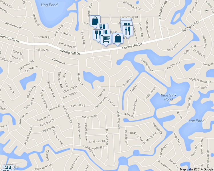 map of restaurants, bars, coffee shops, grocery stores, and more near 528 Neal Lane in Spring Hill