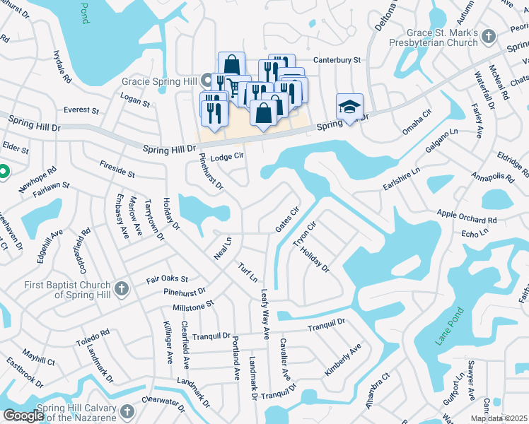 map of restaurants, bars, coffee shops, grocery stores, and more near 1059 Shenandoah Lane in Spring Hill