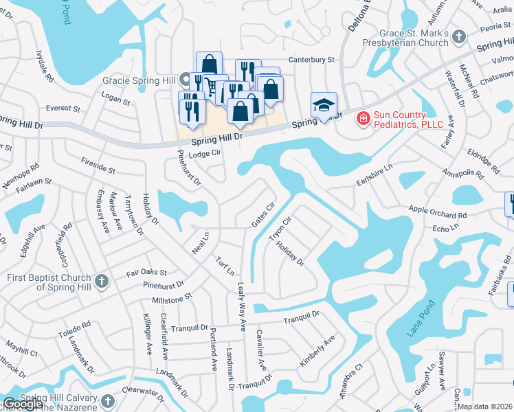 map of restaurants, bars, coffee shops, grocery stores, and more near 1098 Shenandoah Lane in Spring Hill