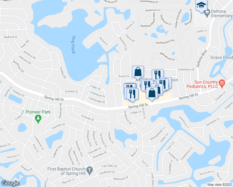 map of restaurants, bars, coffee shops, grocery stores, and more near 1250 Sylvia Avenue in Spring Hill