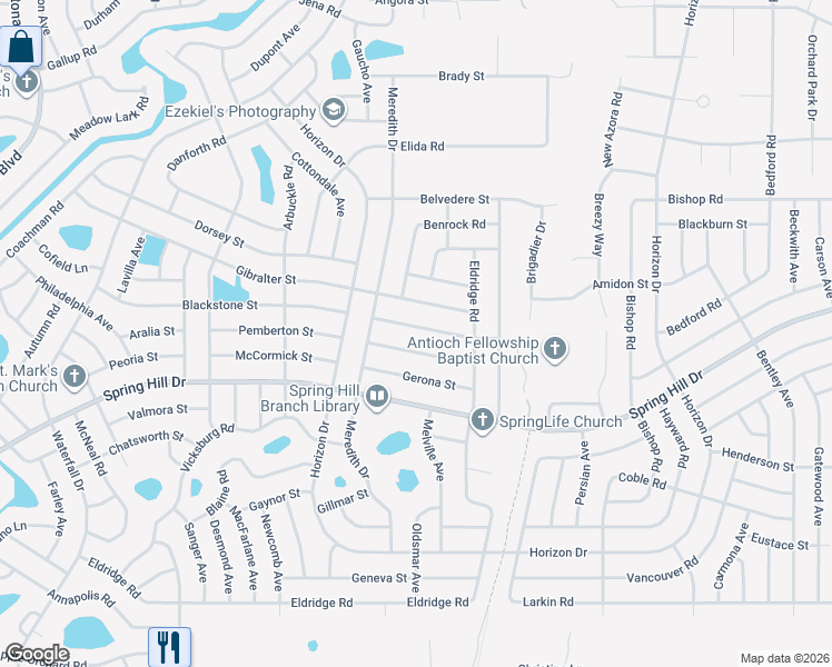 map of restaurants, bars, coffee shops, grocery stores, and more near 9238 Bladon Street in Spring Hill