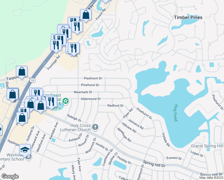 map of restaurants, bars, coffee shops, grocery stores, and more near 6265 Newmark Street in Spring Hill