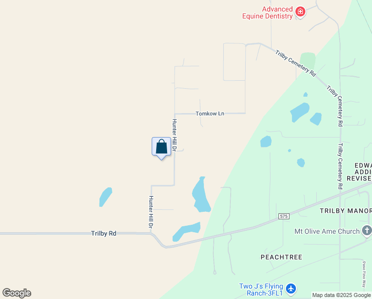 map of restaurants, bars, coffee shops, grocery stores, and more near 20930 Hunter Hill Drive in Dade City