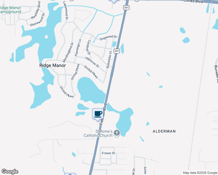 map of restaurants, bars, coffee shops, grocery stores, and more near Treiman Boulevard in Dade City