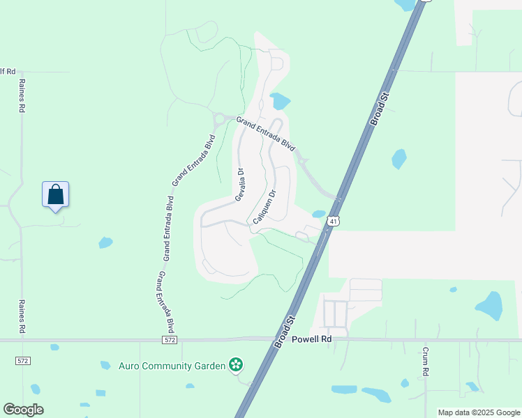 map of restaurants, bars, coffee shops, grocery stores, and more near 4401 Caliquen Drive in Brooksville