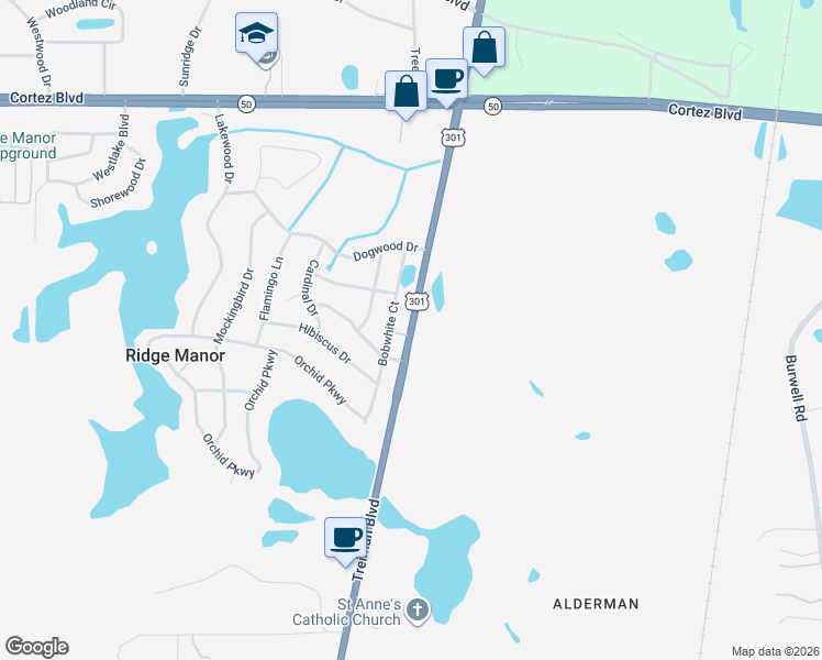 map of restaurants, bars, coffee shops, grocery stores, and more near Treiman Boulevard in Dade City