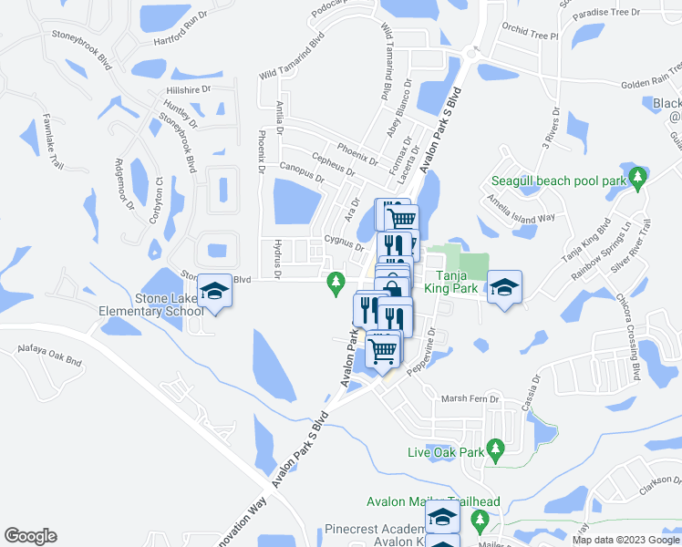 map of restaurants, bars, coffee shops, grocery stores, and more near 12861 Tanja King Boulevard in Orlando