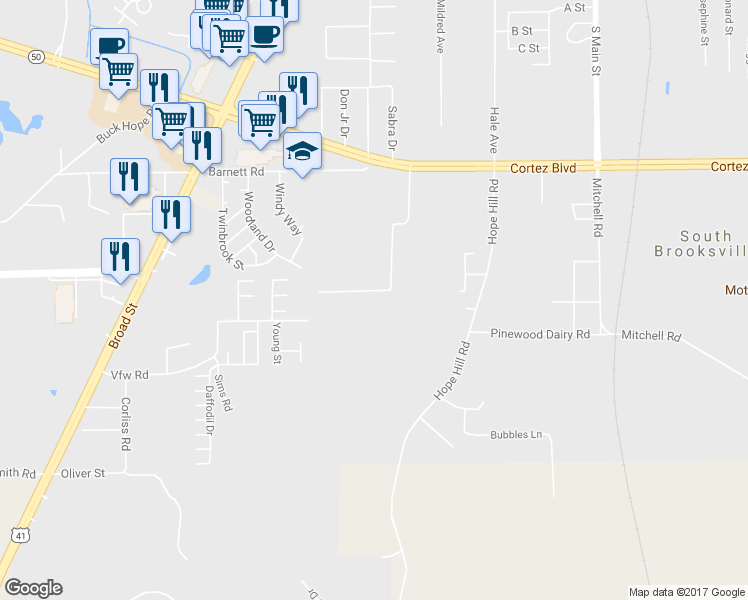 map of restaurants, bars, coffee shops, grocery stores, and more near 7322 Ray Browning Road in Brooksville