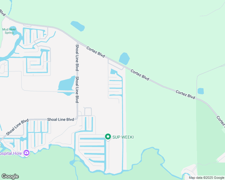 map of restaurants, bars, coffee shops, grocery stores, and more near 6429 Theresa Avenue in Spring Hill