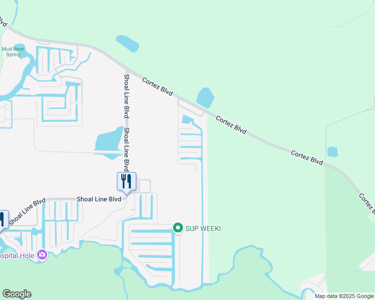 map of restaurants, bars, coffee shops, grocery stores, and more near 6429 Theresa Avenue in Spring Hill