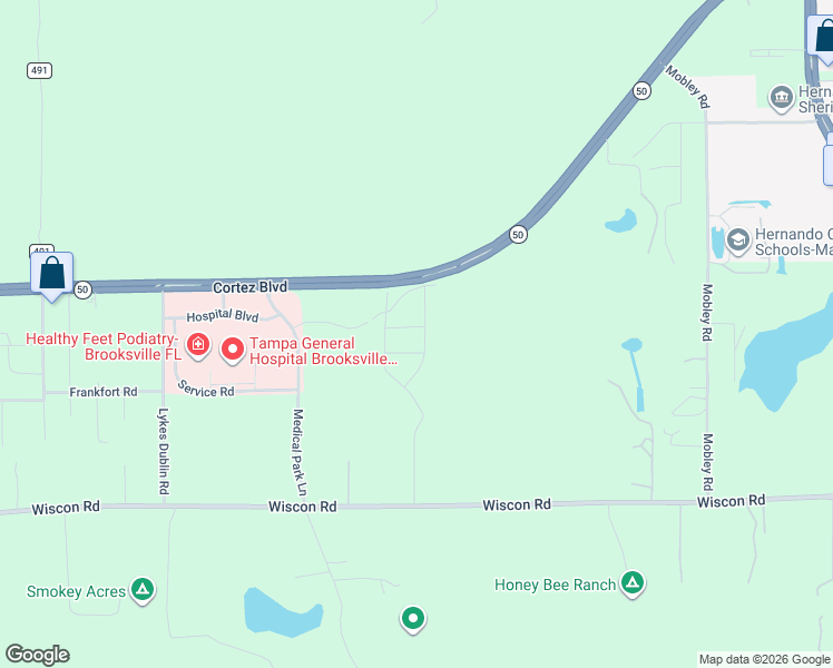 map of restaurants, bars, coffee shops, grocery stores, and more near 17674 Olive Thorn Drive in Brooksville