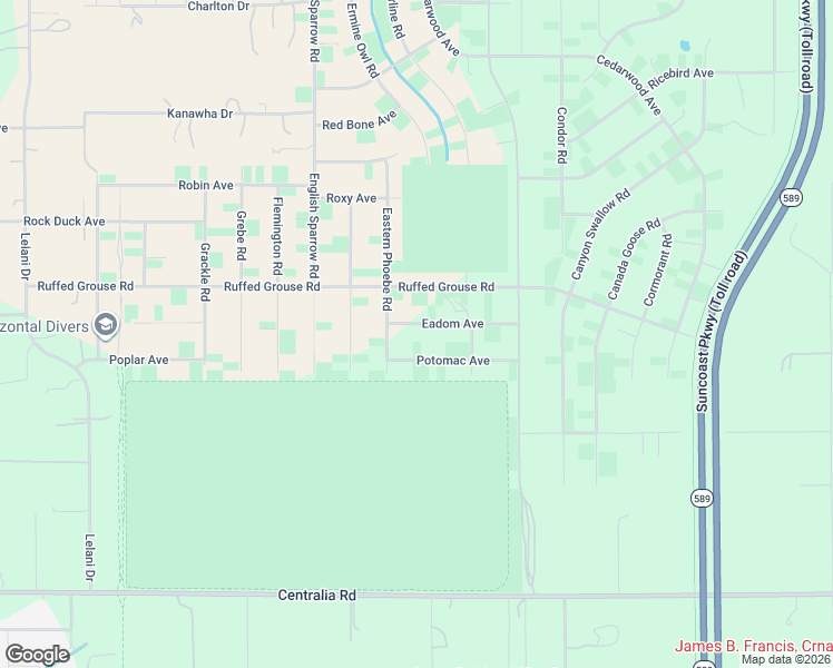 map of restaurants, bars, coffee shops, grocery stores, and more near 13298 Eadom Avenue in Brooksville