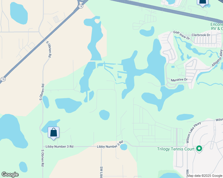 map of restaurants, bars, coffee shops, grocery stores, and more near 19519 Homestead Drive in Minneola