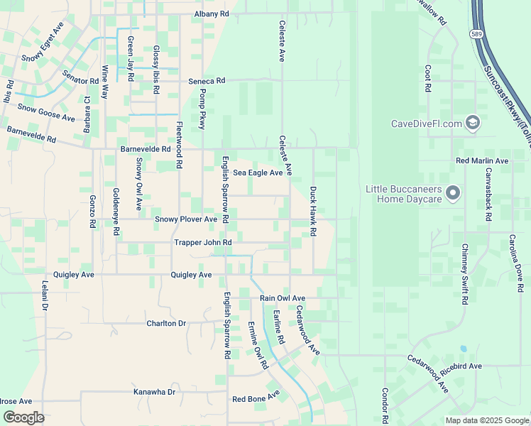 map of restaurants, bars, coffee shops, grocery stores, and more near 13260 Snowy Plover Avenue in Brooksville