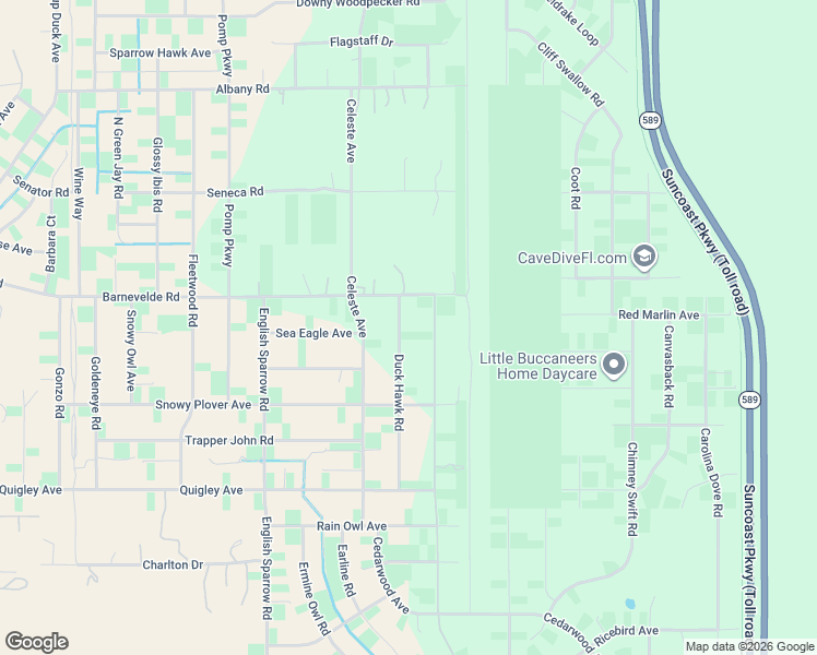 map of restaurants, bars, coffee shops, grocery stores, and more near 15166 Duck Hawk Road in Brooksville